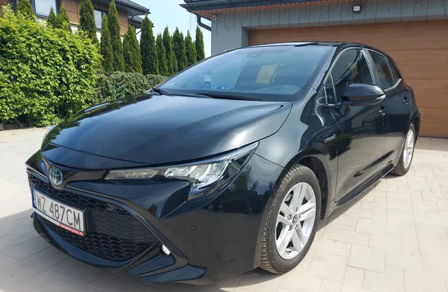 toyota corolla izbica kujawska Toyota Corolla cena 82699 przebieg: 60000, rok produkcji 2020 z Izbica Kujawska